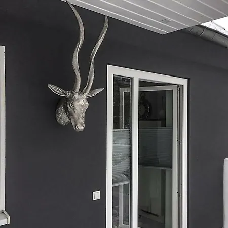 Lifsstil-suites Apartment